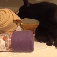 photo de livraison pour Les Pattounes de l'Espoir