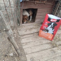 photo de livraison pour Samira Gagula