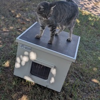 photo de livraison pour Les chats de chez nous