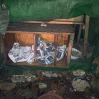 photo de livraison pour Aide Aux Chats Sans Logis