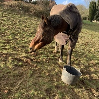 photo de livraison pour Espoir au Galop