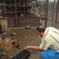 photo de livraison pour Save & Hope for Dogs