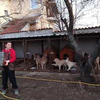 photo de livraison pour Civic Initiative Kane Korzo Skopje