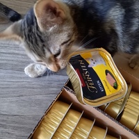 photo de livraison pour Les Pattounes de l'Espoir