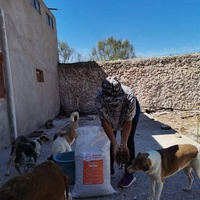 photo de livraison pour 4 Pattes Mogador