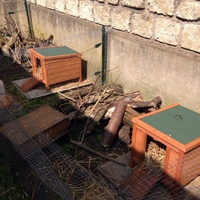 photo de livraison pour Faune Alfort