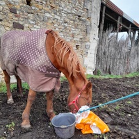 photo de livraison pour Arche et Relais