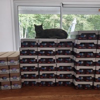 photo de livraison pour NAE-NUTTI - Les chats de la maison brûlée