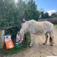 photo de livraison pour La Retraite des Chevaux des Causses