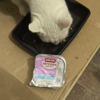 photo de livraison pour Trois P'tits Chats