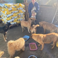 photo de livraison pour ADAN TETOUAN