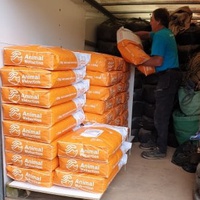 photo de livraison pour Alloue Equine Rescue