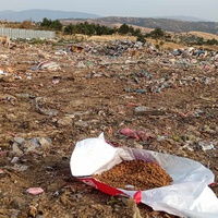 photo de livraison pour Civic Initiative Kane Korzo Skopje