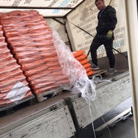 photo de livraison pour Anca Timpeanu
