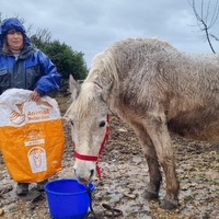 photo de livraison pour La Retraite des Chevaux des Causses