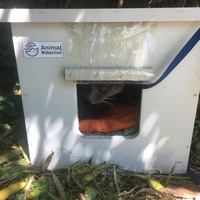 photo de livraison pour Félin Pour L’Hôte