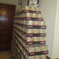 photo de livraison pour Chat Libre de l'Ile du Ramier