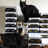 photo de livraison pour Ecole du Chat Libre de Caillerot