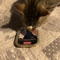 photo de livraison pour Cosette