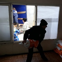 photo de livraison pour RespekTIERE Leben e.V.