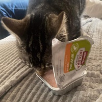 photo de livraison pour Les Pattes de l'Espoir 