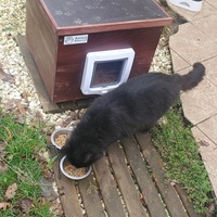 photo de livraison pour Aidons nos Molosses