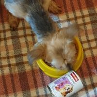 photo de livraison pour AVRAH