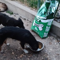 photo de livraison pour Ivana Nikolić