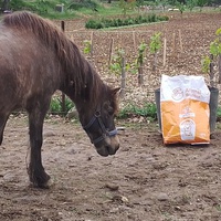 photo de livraison pour Equi-Libre : Droit à la Retraite Equine