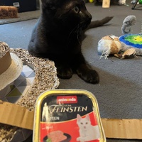 photo de livraison pour Les P’tits Bâtards