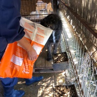 photo de livraison pour RespekTIERE Leben e.V.