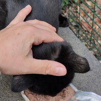 photo de livraison pour Hope14