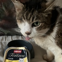 photo de livraison pour SOS Chats Libres