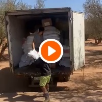 photo de livraison pour Help Adopt Moroccan Animals