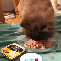 photo de livraison pour Une Maison pour la Vie