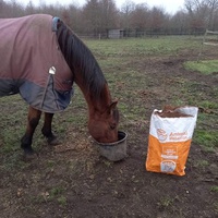 photo de livraison pour Arche et Relais