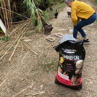 photo de livraison pour Ecole du Chat des Alpilles
