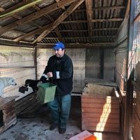 photo de livraison pour Florentina Cioaca
