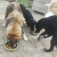 photo de livraison pour Svetlana Bjelogrlic