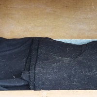 photo de livraison pour Cat Miaou