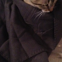 photo de livraison pour Cosette