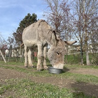 photo de livraison pour ADADA