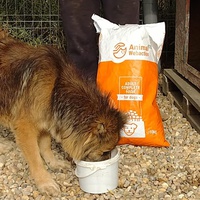 photo de livraison pour Animal Shields Oradea