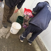 photo de livraison pour Save & Hope for Dogs