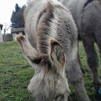 photo de livraison pour ADADA