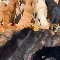 photo de livraison pour ADAN