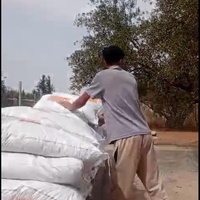 photo de livraison pour Help Adopt Moroccan Animals