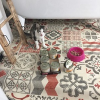 photo de livraison pour Les Chats Libres Condom 32