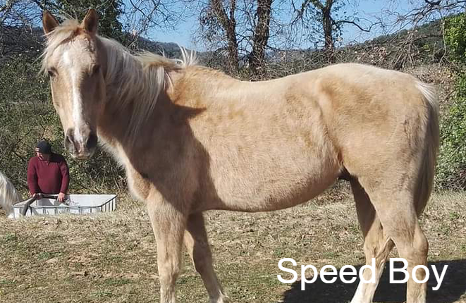photo association