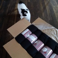 photo de livraison pour L'Arche de Marie - Mes Amours de Chats